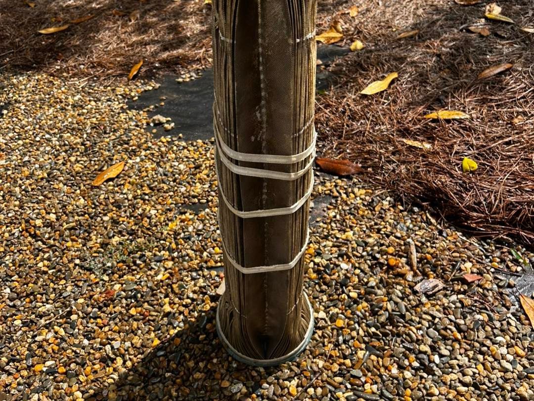 A wooden post reinforced with white zip ties stands upright in a gravel area covered with scattered dry leaves.