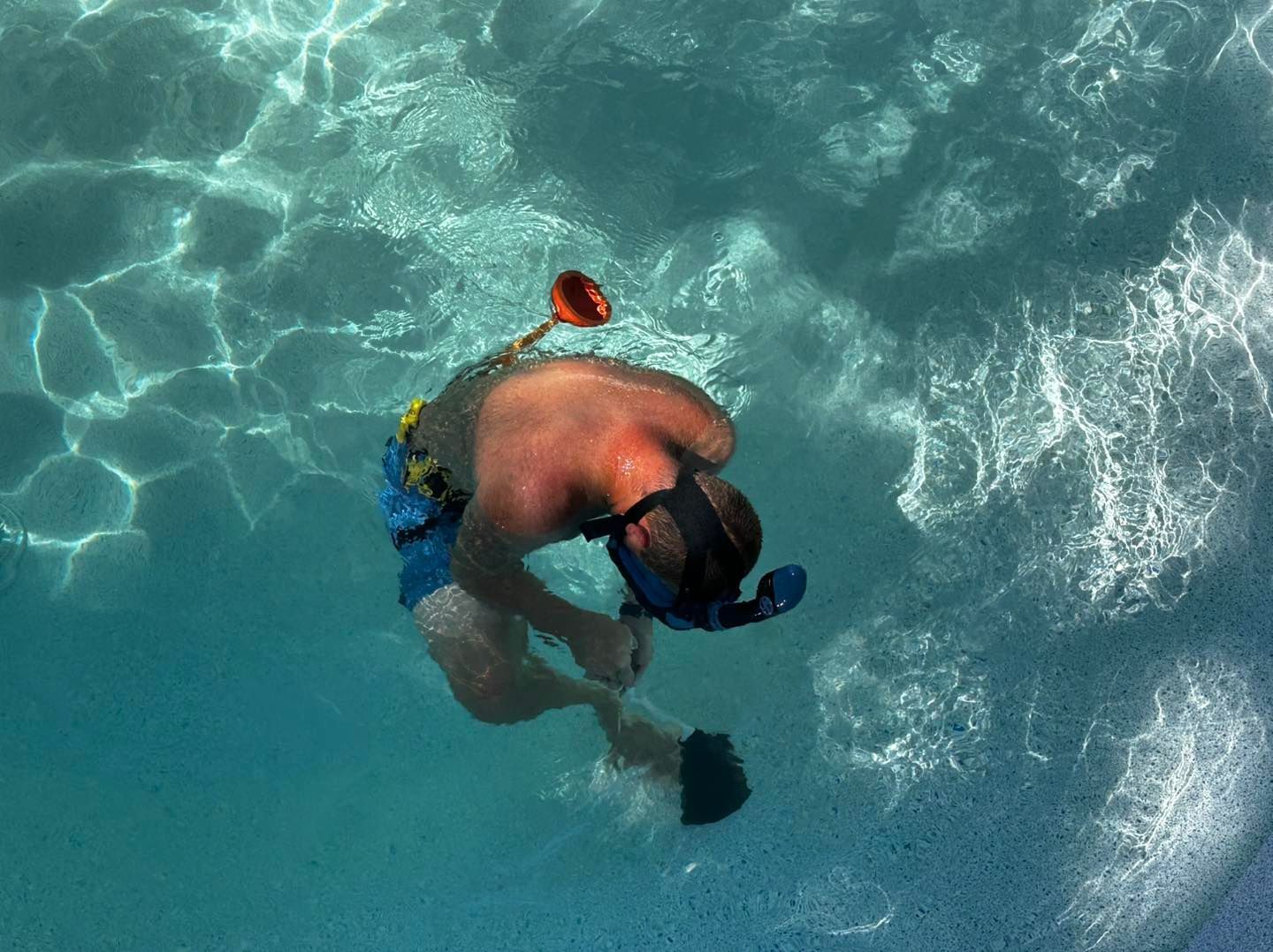 A person wearing a snorkeling mask and swim trunks floats face-down in clear blue swimming pool water.