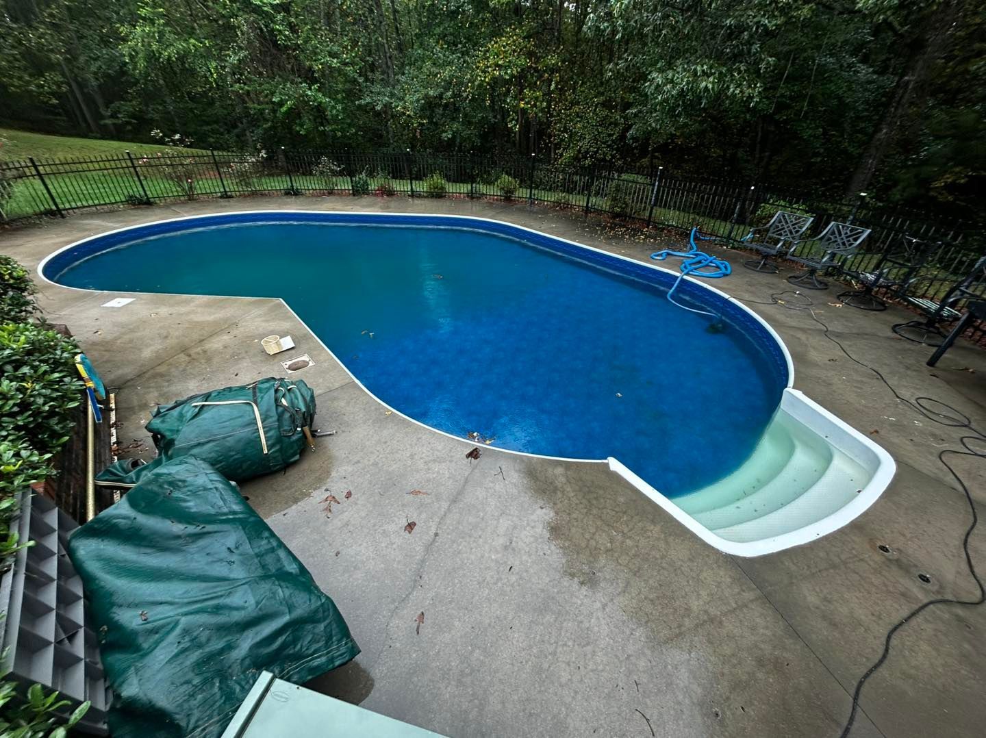 An oval-shaped in-ground pool with white steps sits on a concrete patio surrounded by greenery and trees.