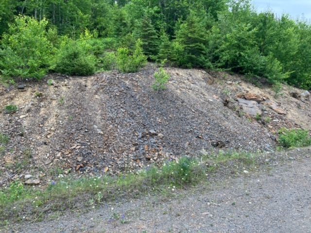 A large pile of rocks is sitting on top of a dirt hill in the middle of a forest.