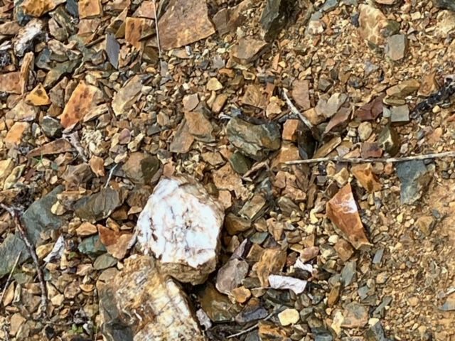 A pile of rocks and dirt with a white rock in the middle.