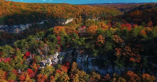 A close up of a white and gold marble texture.