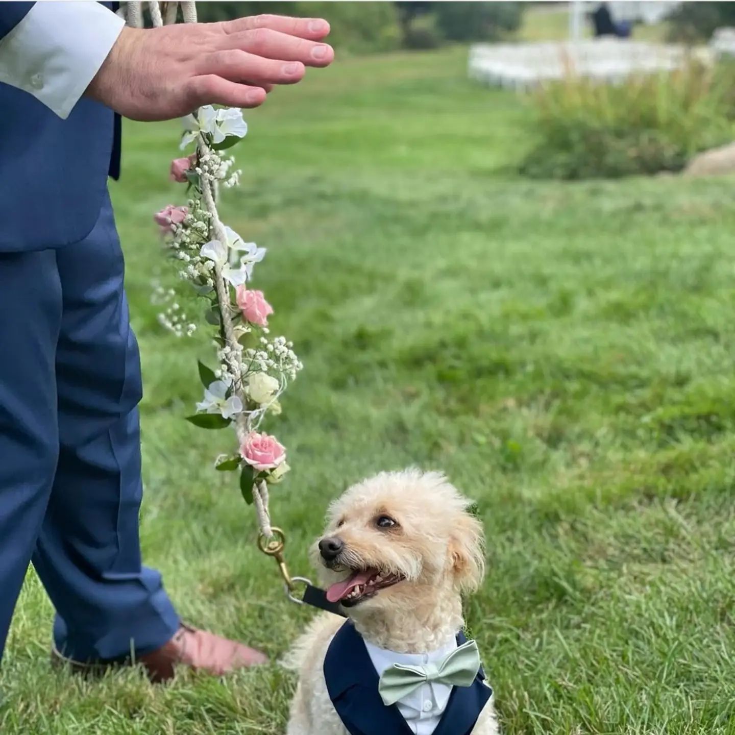 Tulips Floral Design located in Westbrook, CT creates beautiful floral designs for weddings, events and everyday occasions.