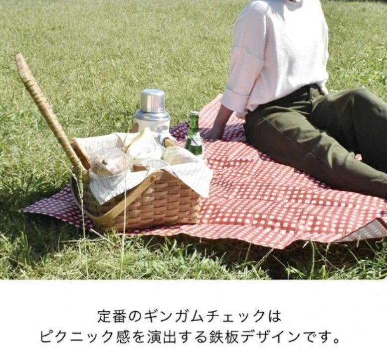 日本 PIATTO 輕量野餐墊 戶外活動 露營 繽紛 格紋 花紋