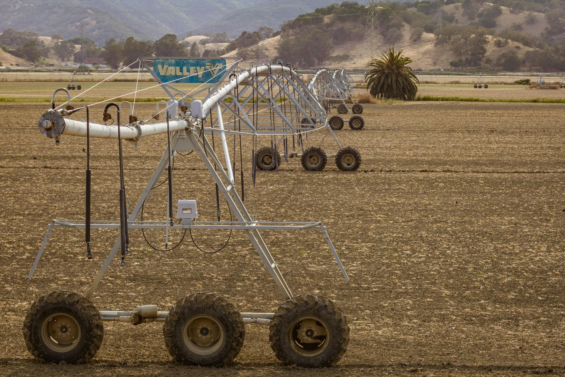 A man is cutting a tree with a chainsaw.