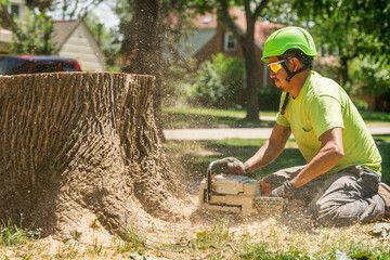 Man Used Chainsaw — Conroe, TX — Jacques Outdoor Solutions LLC  