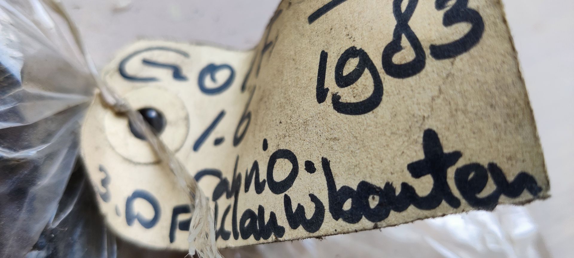 VW Golf 1 remklauw bouten.