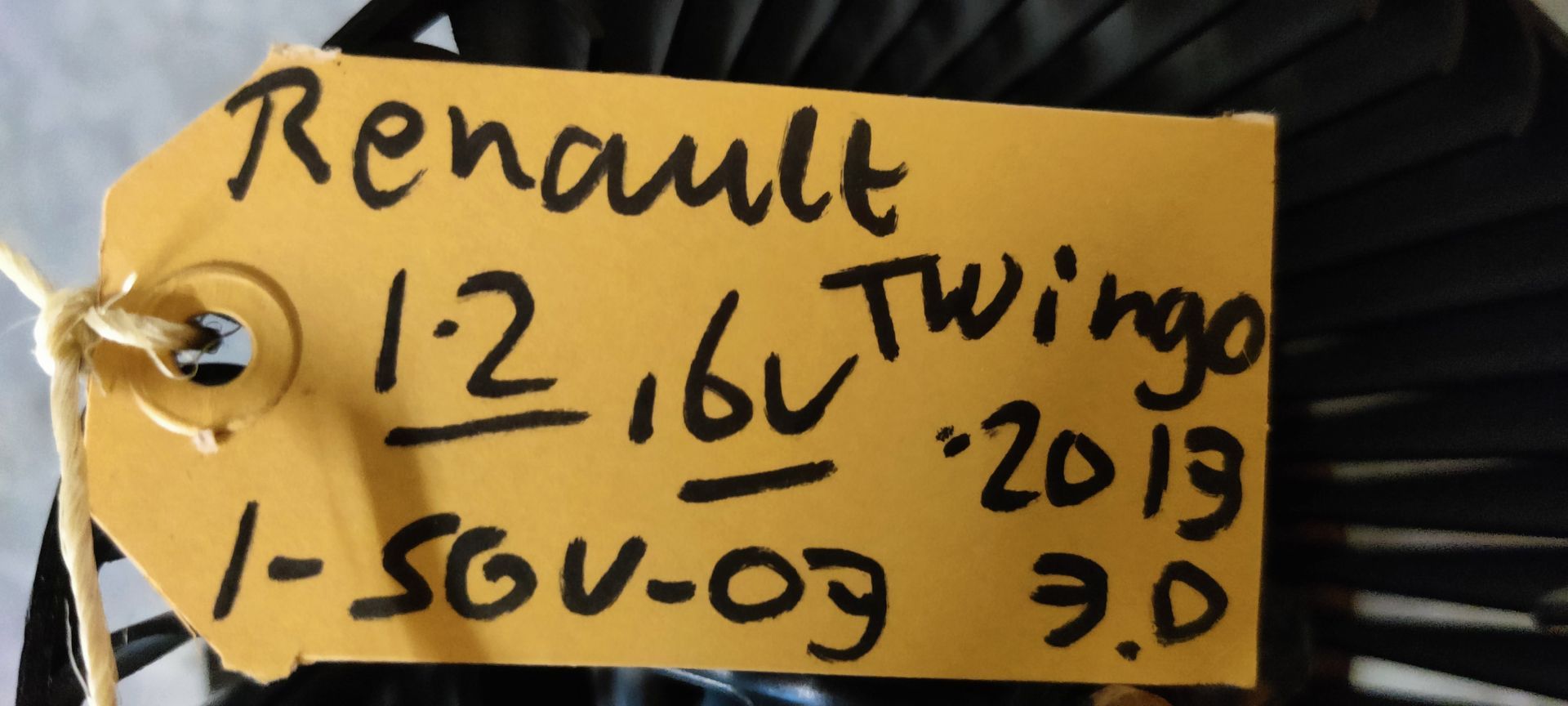 Renault Twingo kachelmotor uit 2013.