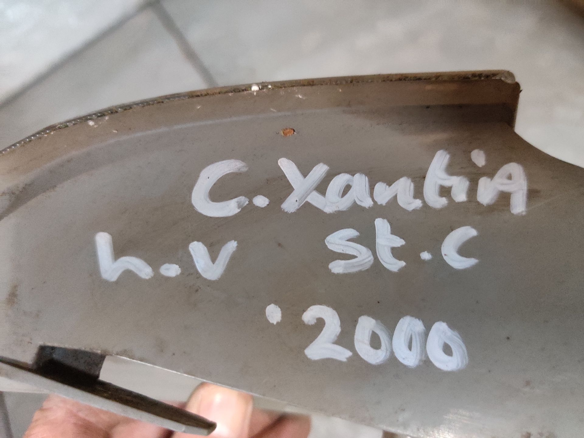 Xantia gebruikte onderdelen bij stegeman car parts in Exel.