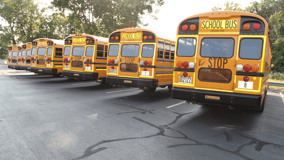 A fleet of school buses