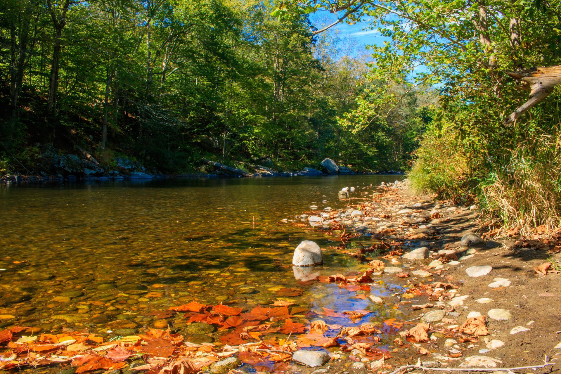 Riverbank with clear water, rocks, and colorful autumn leaves. Trees line the banks, dappled sunlight.