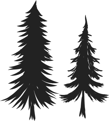 Two black evergreen trees silhouettes against a white background.