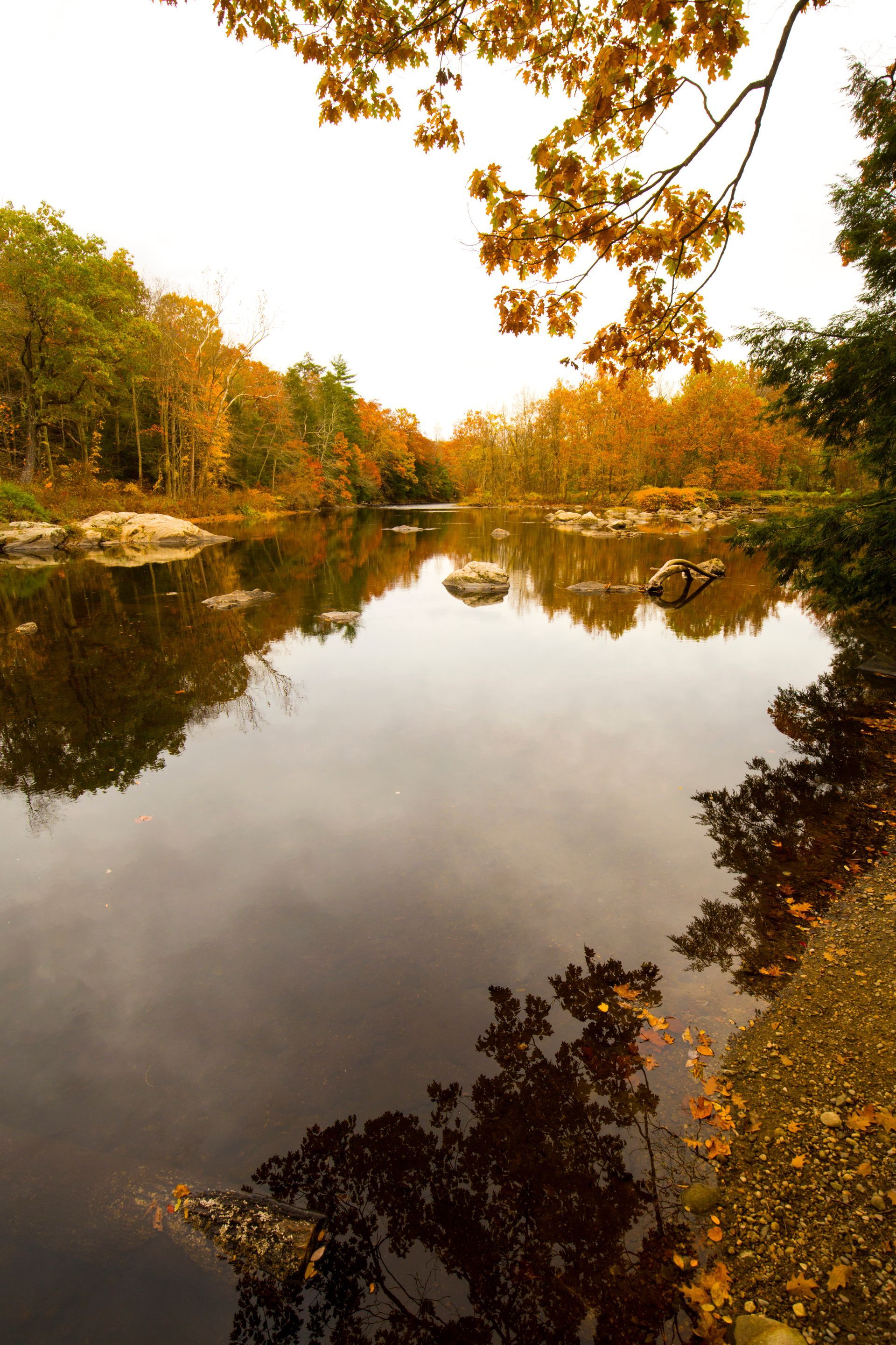 Autumn lake scene with trees in shades of orange and green reflected in calm water.