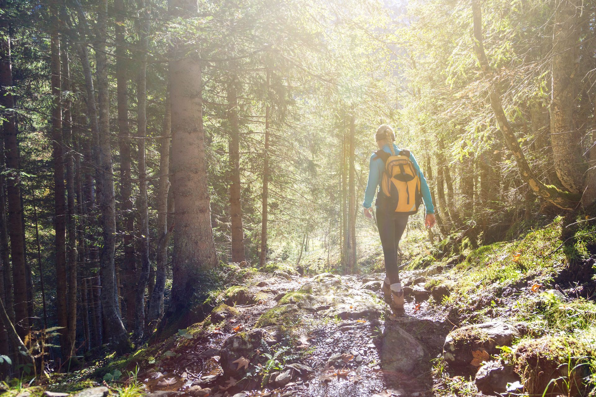 Person hiking on a sunlit forest trail, wearing a backpack.