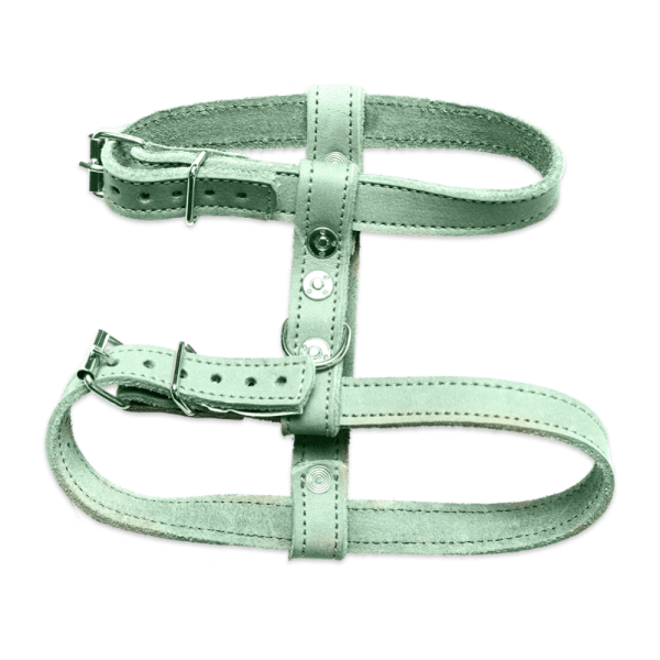 Green leather dog harness with two adjustable straps.
