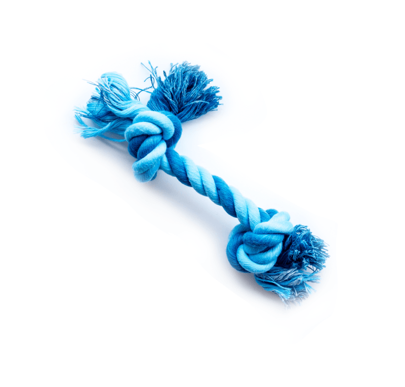 Blue dog rope toy with knots.