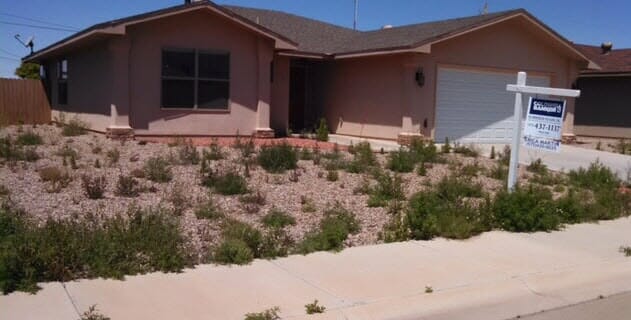 Start Removing Weeds on Yard — Alamogordo, NM — David's Landscaping Design LLC