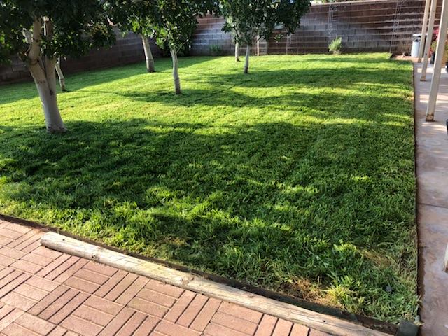 Newly Mowed Lawn — Alamogordo, NM — David's Landscaping Design LLC
