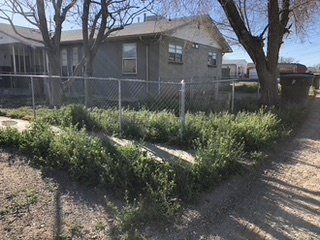 Before Grass Cutting Near a House — Alamogordo, NM — David's Landscaping Design LLC