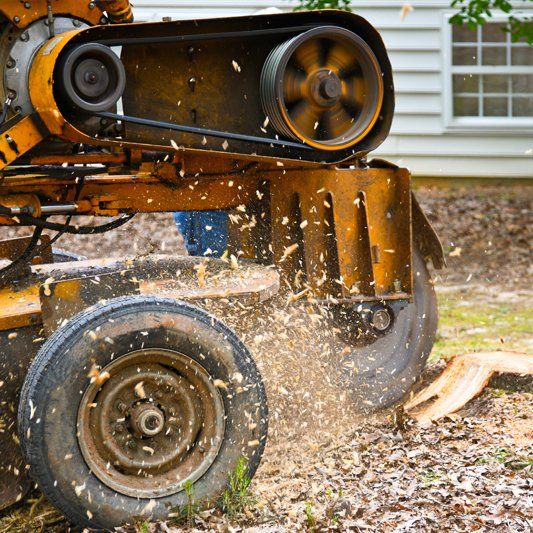 Stump Removal — Alamogordo, NM — David's Landscaping Design LLC