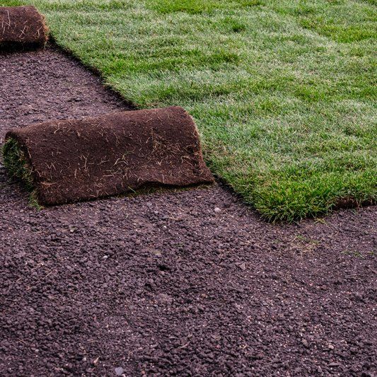 Sod Installation — Alamogordo, NM — David's Landscaping Design LLC