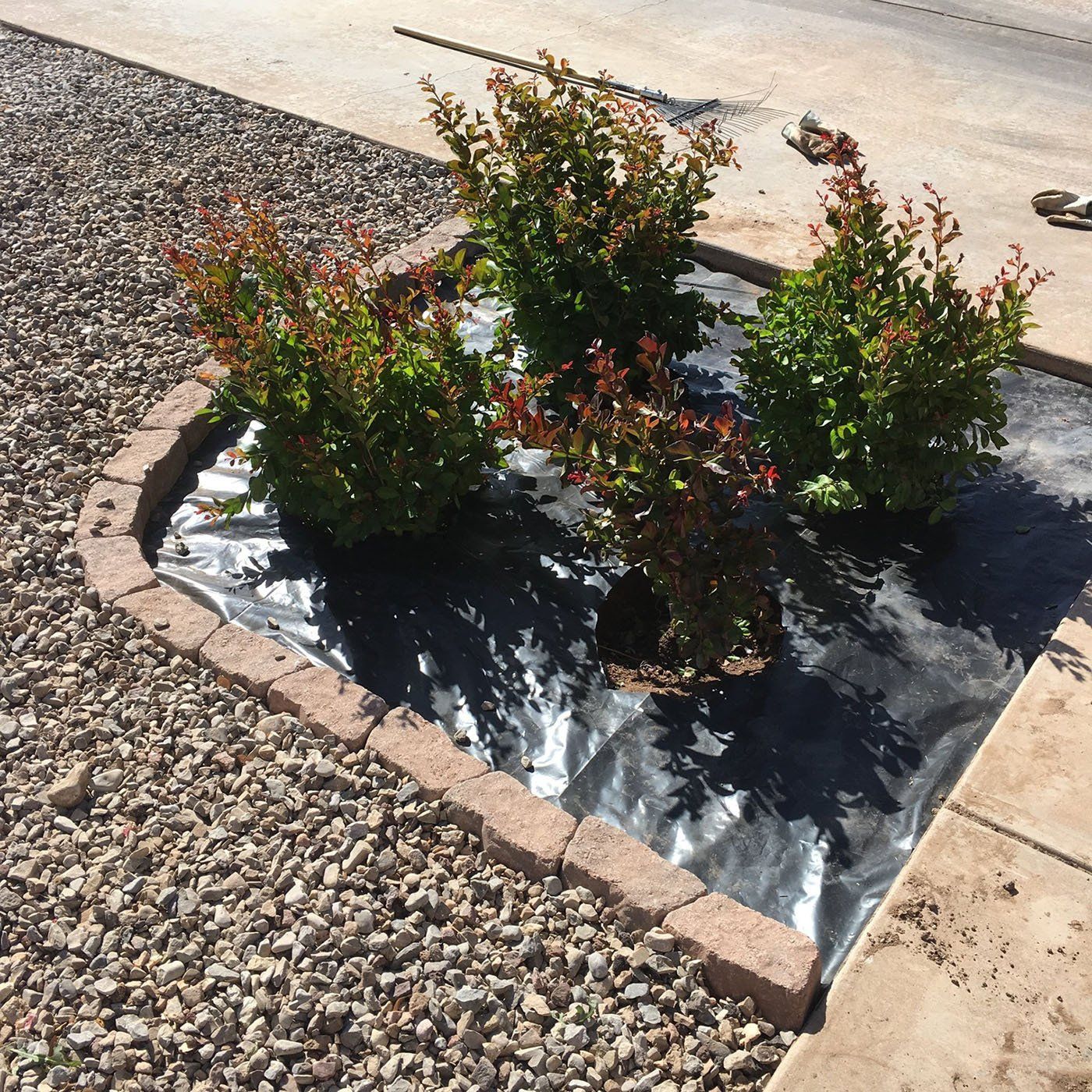 Rockscaping Ongoing Project — Alamogordo, NM — David's Landscaping Design LLC