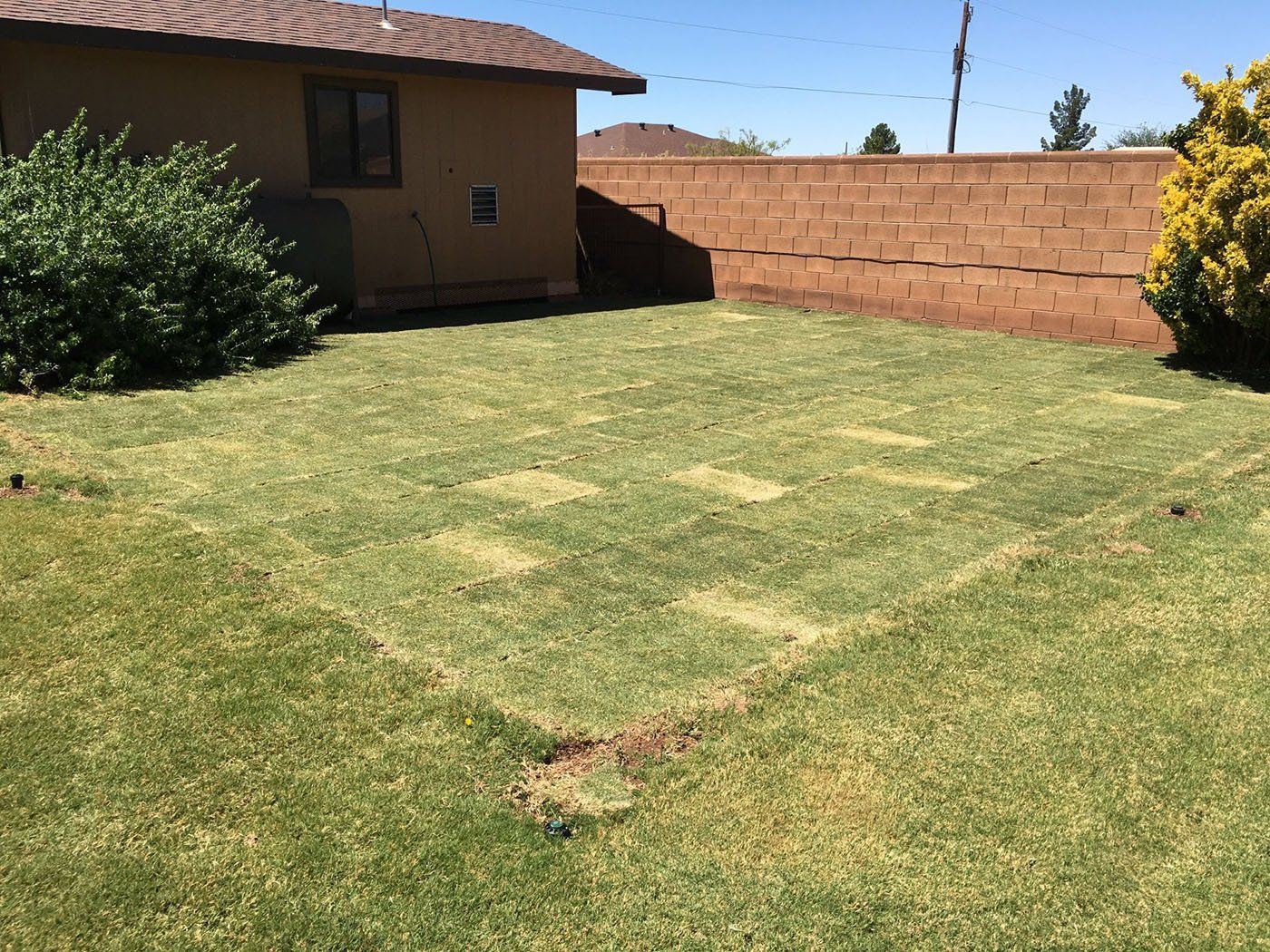 Landscape and Lawn — Alamogordo, NM — David's Landscaping Design LLC
