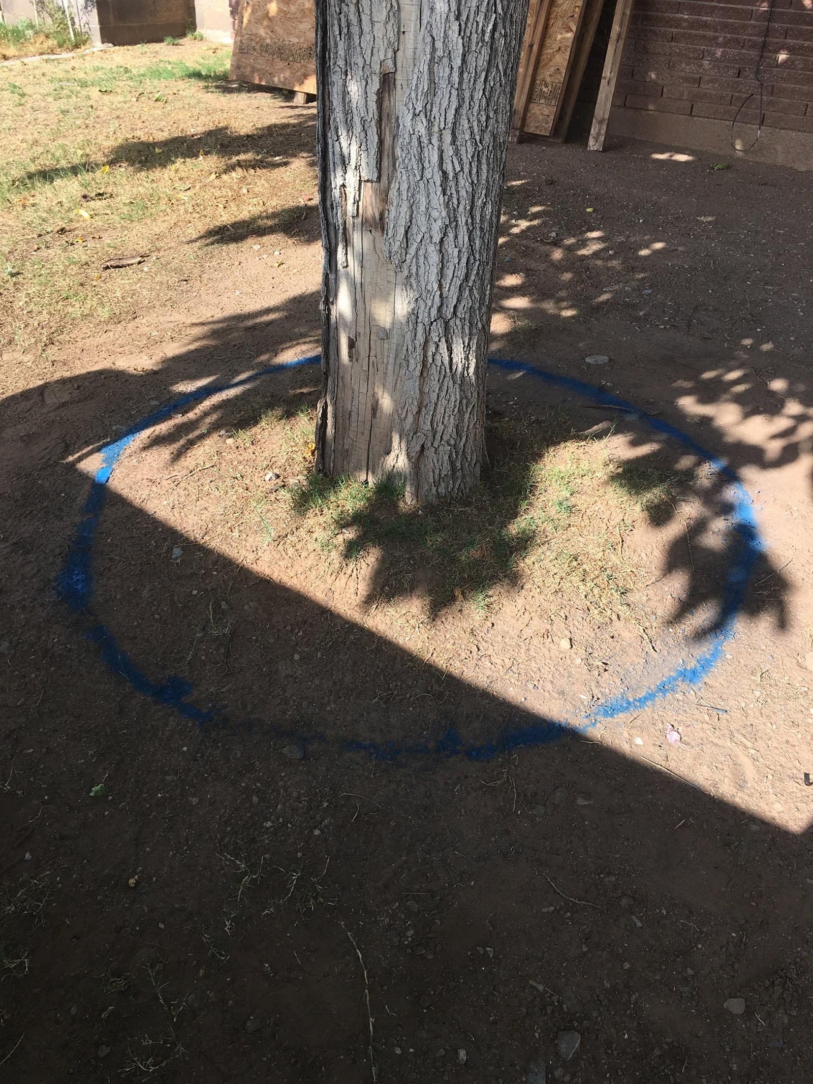 Installing Garden Bed — Alamogordo, NM — David's Landscaping Design LLC