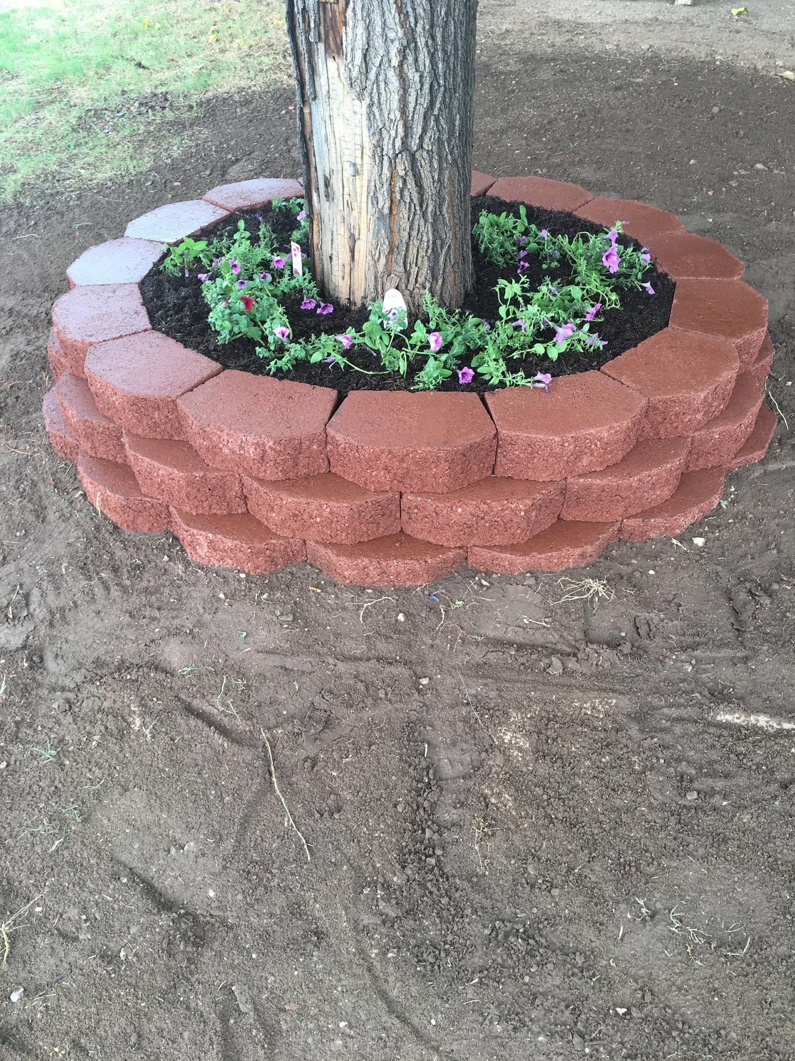Garden Bed on a Tree — Alamogordo, NM — David's Landscaping Design LLC