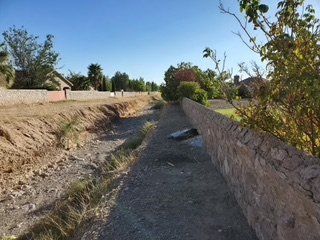 After Small Grass on Ground Trimming — Alamogordo, NM — David's Landscaping Design LLC