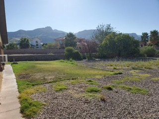 Before Grass Trimming and Clean Up — Alamogordo, NM — David's Landscaping Design LLC