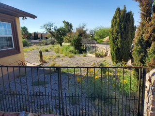Before Small Grass Beside a House Trimming — Alamogordo, NM — David's Landscaping Design LLC