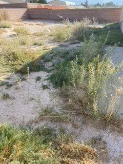 Before Grass Trimming and Cleaning — Alamogordo, NM — David's Landscaping Design LLC