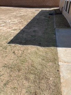 After Grass Trimming and Cleaning — Alamogordo, NM — David's Landscaping Design LLC