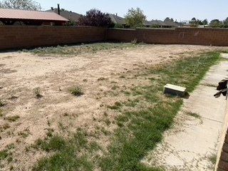 Before Land and Pavement Clean Up — Alamogordo, NM — David's Landscaping Design LLC