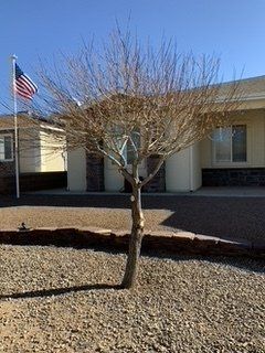 After Tree with No Leaves Trimming Near a House — Alamogordo, NM — David's Landscaping Design LLC
