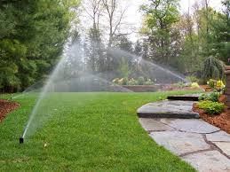 A lawn sprinkler is spraying water on a lush green lawn.