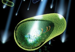 An illustration of a green cell with a light coming out of it.