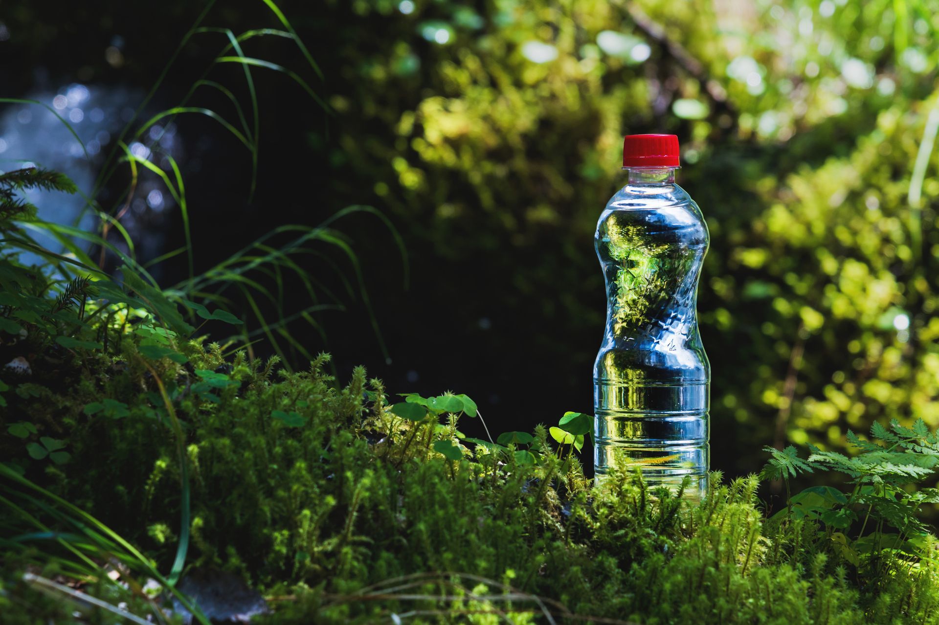 Plastic water bottle with a red cap nestled in green moss, in a natural setting.