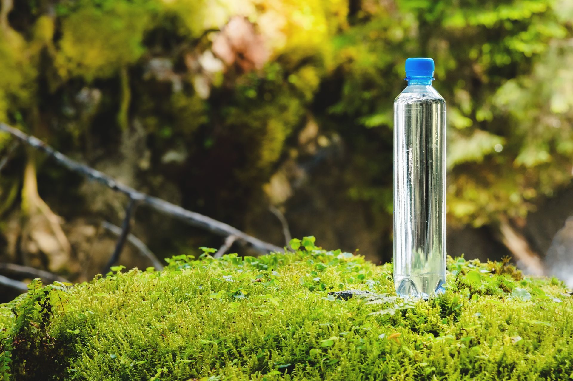 Water bottle on a patch of green moss, with a blurred forest background.