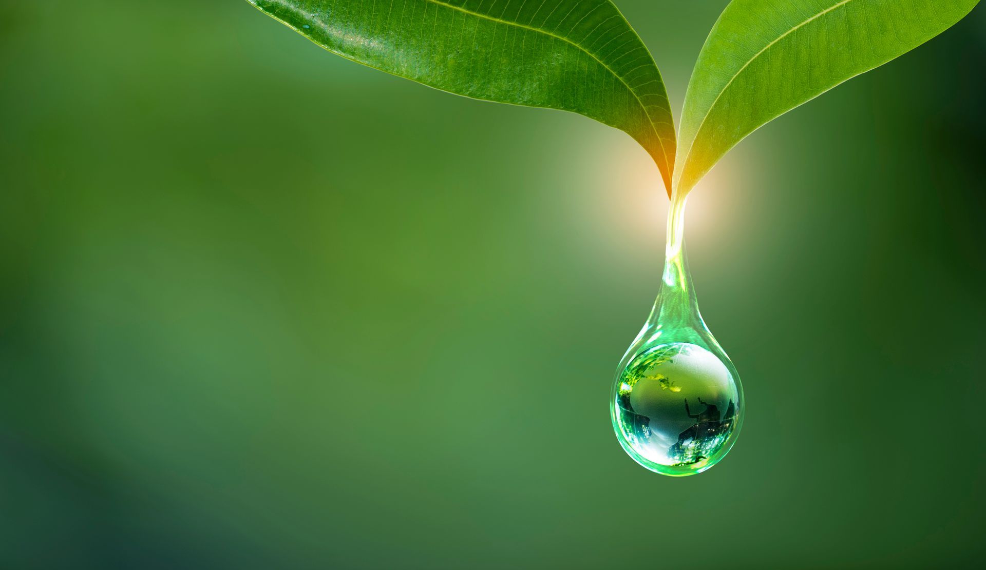 Green leaf with a water droplet reflecting the surrounding nature; bright light highlights the center.