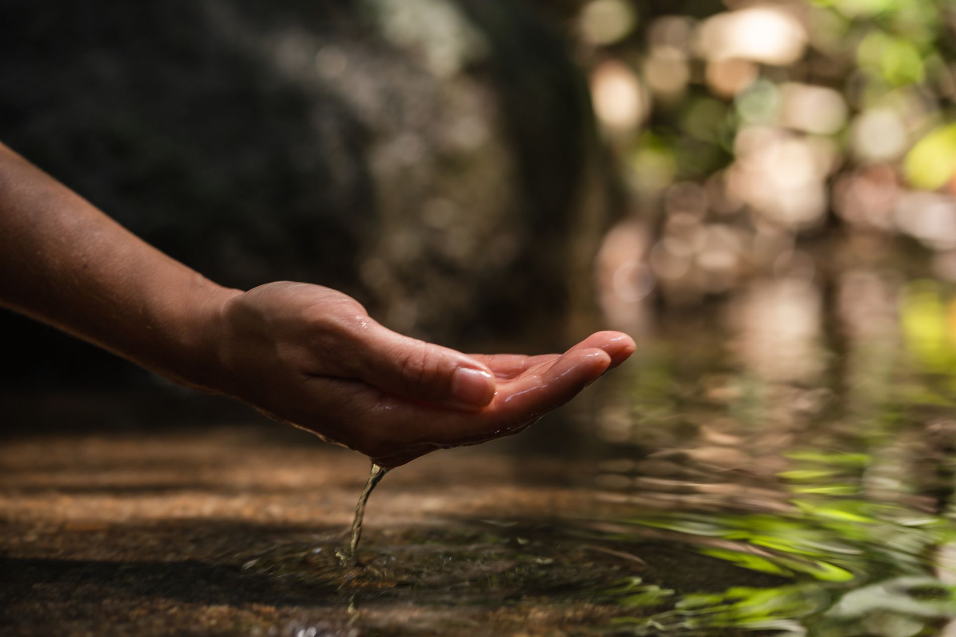 Hand cupped above water, a drop falling. Sunlight filters through leaves, natural setting.