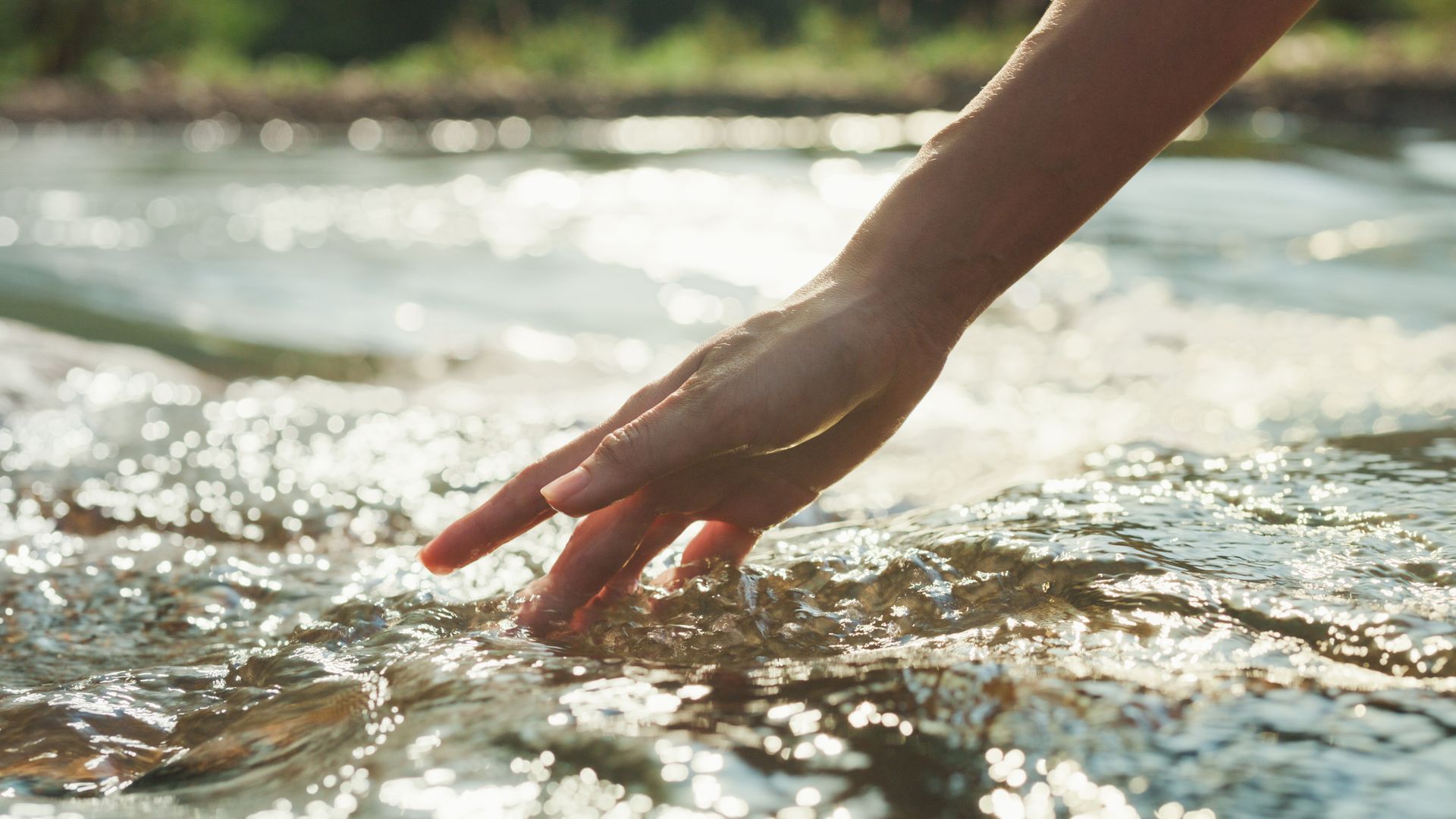 A person is touching the water with their hand.