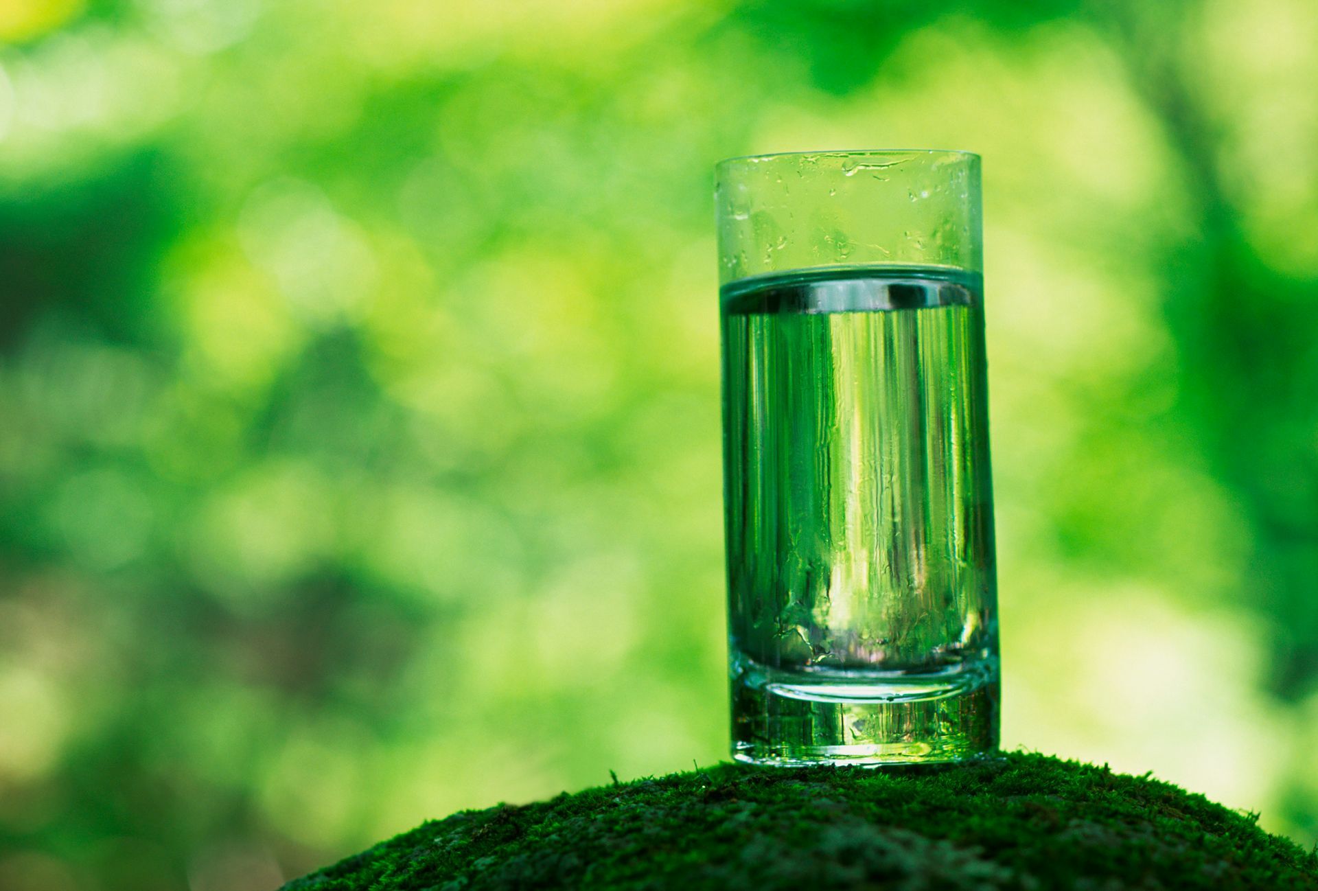 A tall glass of green liquid on a bed of moss, with a blurred green background of foliage.