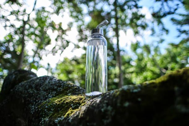 Clear water bottle on a mossy rock, set against a blurred background of green trees and sky.