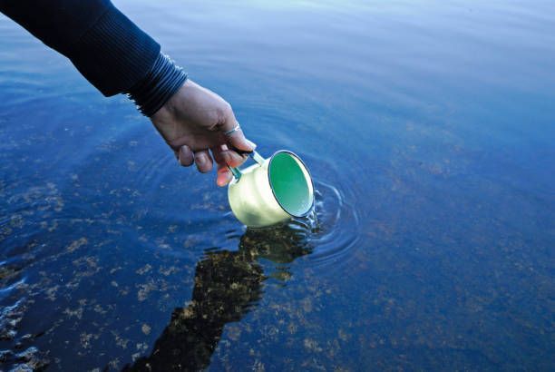 Person in a dark wetsuit scoops water from a blue body of water with a green and white metal cup.