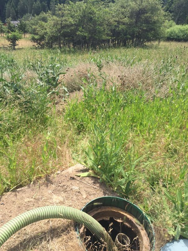 Septic tank with a hose open in a grassy field, trees in the background.
