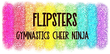 Colorful glitter banner reading &ldquo;FLIPSTERS&rdquo; with &ldquo;GYMNASTICS CHEER NINJA&rdquo; below on a white background
