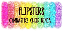 Colorful glitter banner reading &ldquo;FLIPSTERS&rdquo; with &ldquo;GYMNASTICS CHEER NINJA&rdquo; below on a white background