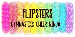Colorful glitter banner reading &ldquo;FLIPSTERS&rdquo; with &ldquo;GYMNASTICS CHEER NINJA&rdquo; below on a white background